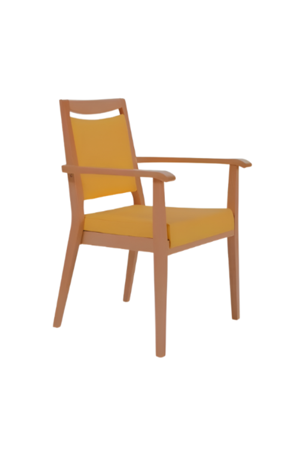 River Dining Chair