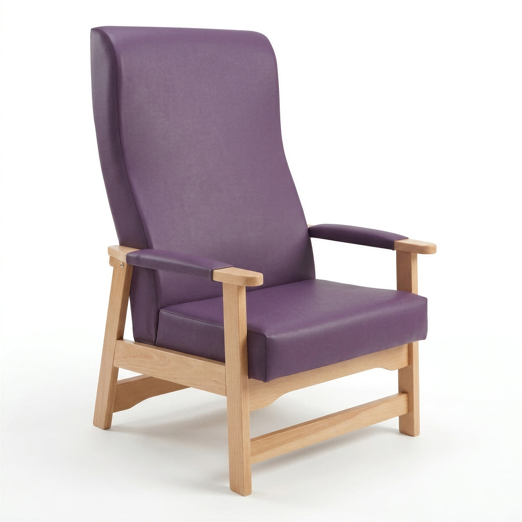Liffey Bariatric Chair