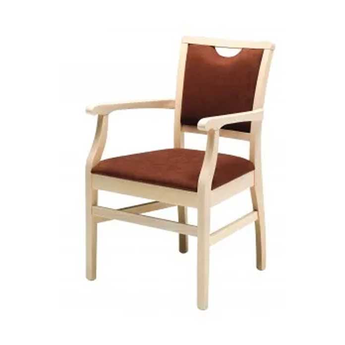 Dargle Dining Chair - J&L Healthcare Furniture