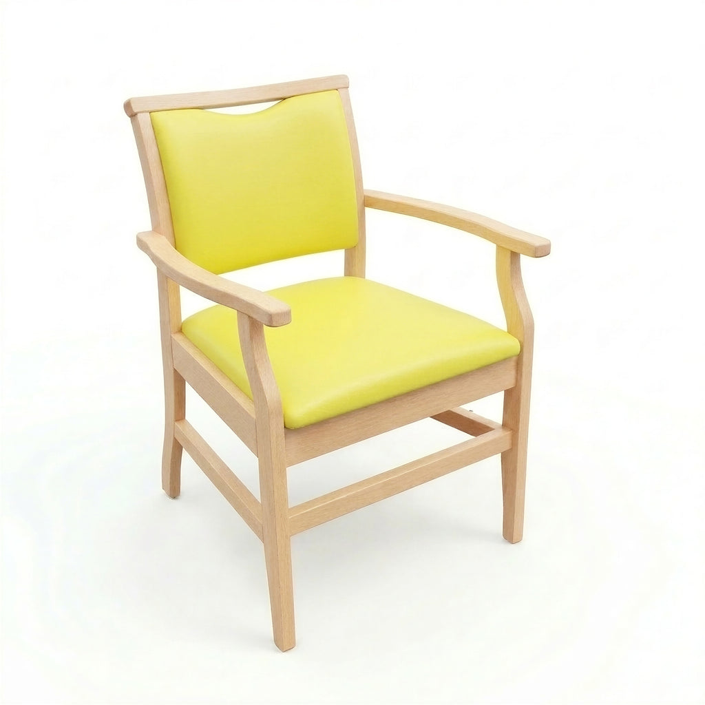 Dargle Chair